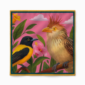 Pañoleta | Pajaritos